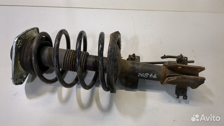 Амортизатор подвески Fiat Multipla, 2004