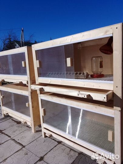 Брудер для цыплят