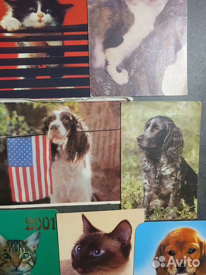 Лот календарики с животными 36 шт