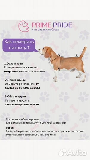 Одежда для маленьких собак XL