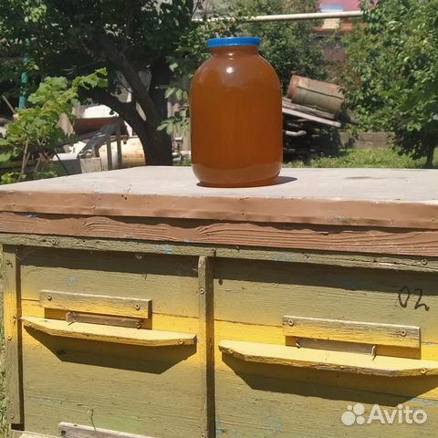 Мёд свежий - 2023 года (с. Гайдук)