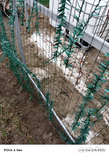 Сетка сварная для забора рулонная