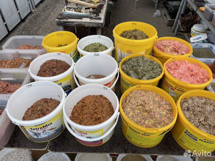 Корма для аквариумных рыбок