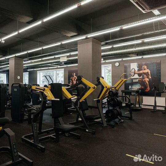 Бицепс-машина сидя 970 (Biceps Curl)