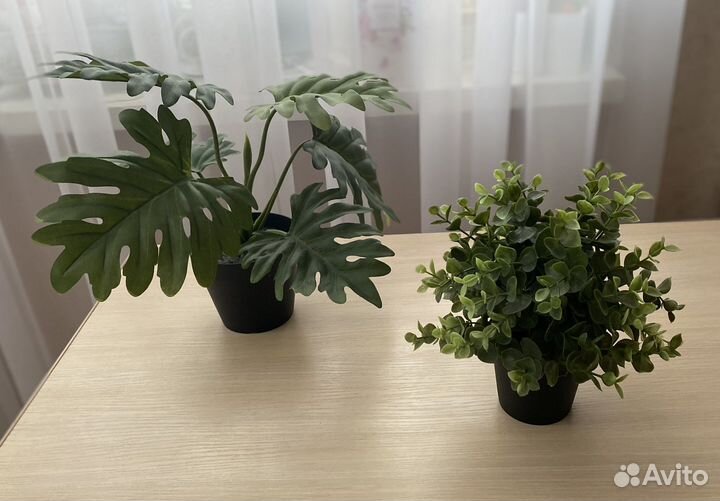 Искусственные растения IKEA