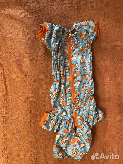 Костюм для корги