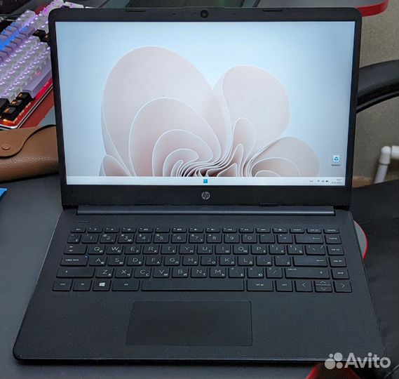 HP / i3-1005G1 / 8gb RAM / SSD 256gb