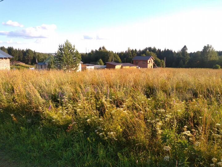 Участок 15 сот. (СНТ, ДНП)