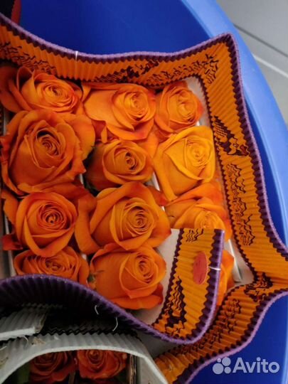 Роза цветы букеты