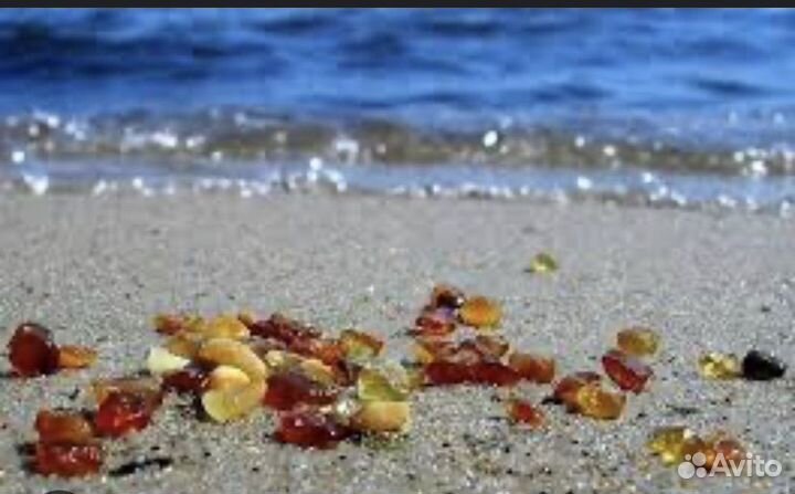 Экскурсии, туры, путевки в Калининграде