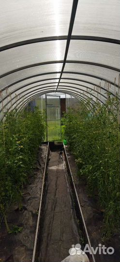 Капельный полив жук 60