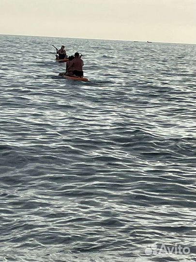 Аренда прокат Сапбордов