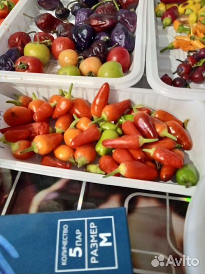 Семена острых перцев