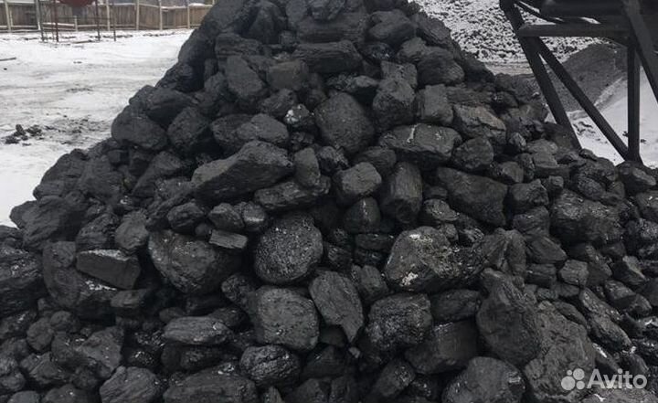 Уголь. Кузбас. дпк, Рядовой, Орех