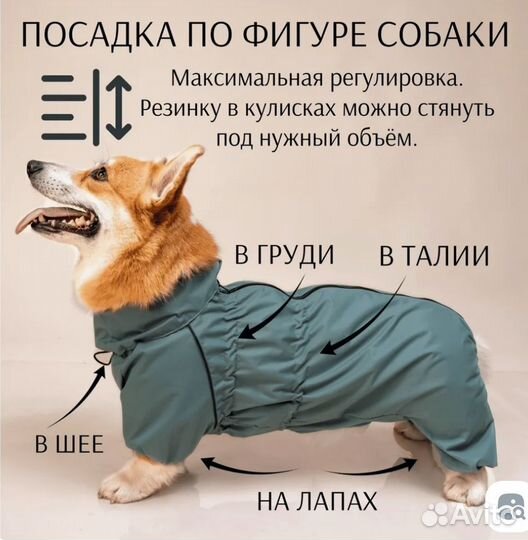 Комбинезон для корги или таксы мальчика 45 размер