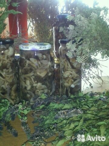 Травы,ягоды,корни