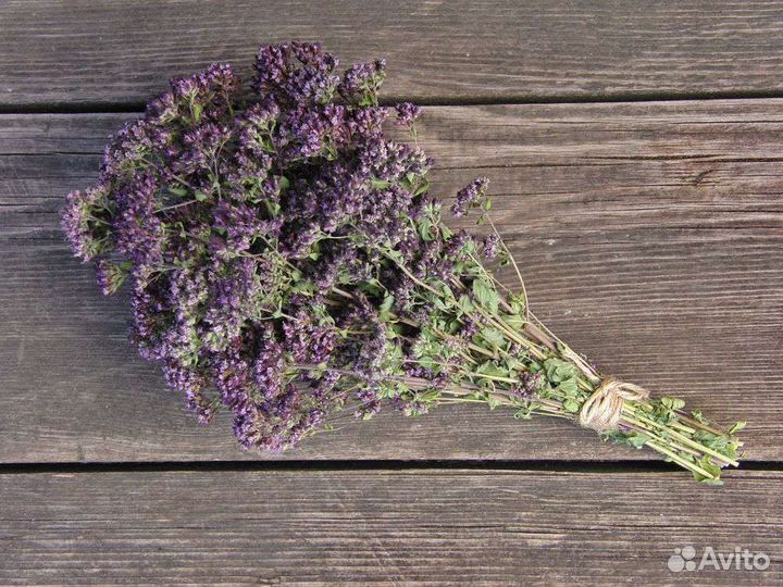 Душица и Мята