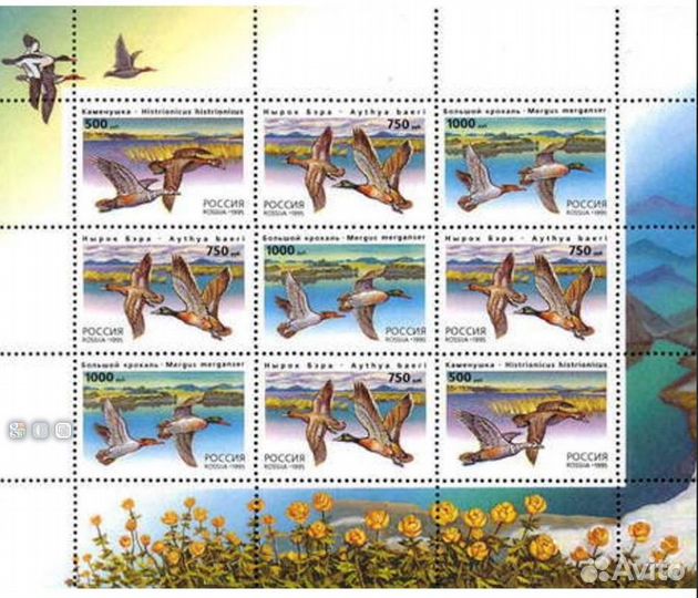 Малый лист марки «Утки» 1995