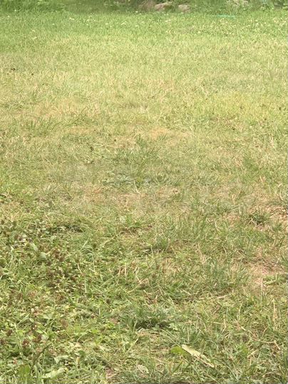 Участок 7 сот. (ИЖС)