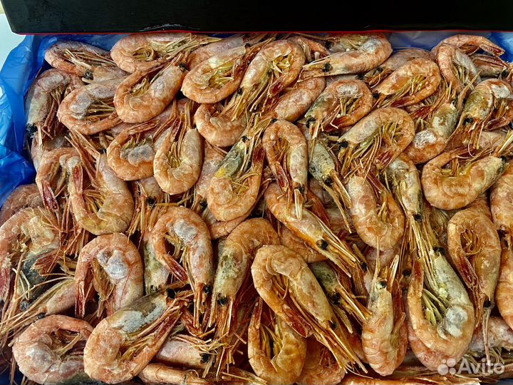 Креветка Магаданская 60-80