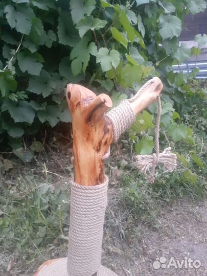 Когтеточка