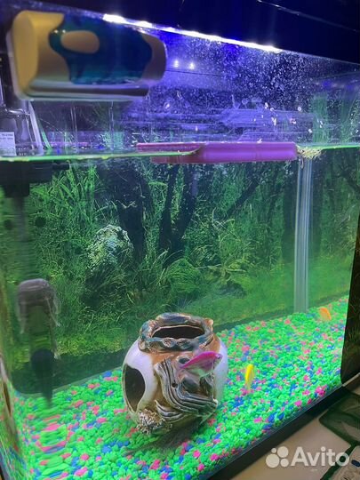 Аквариум