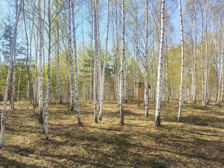 Участок 2 га (СНТ, ДНП)