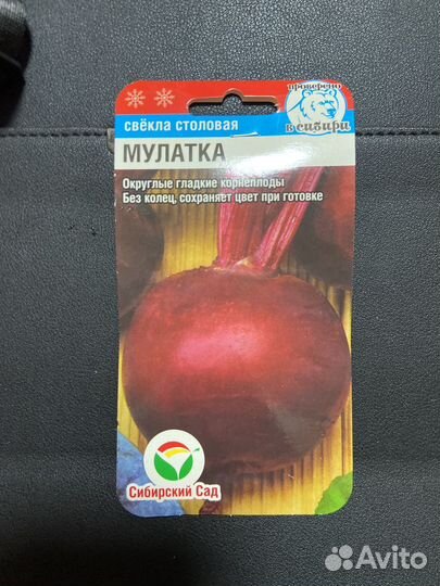 Семена свеклы