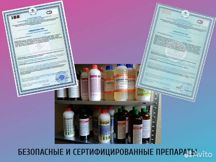 Уничтожение клопов и тараканов. Частный мастер