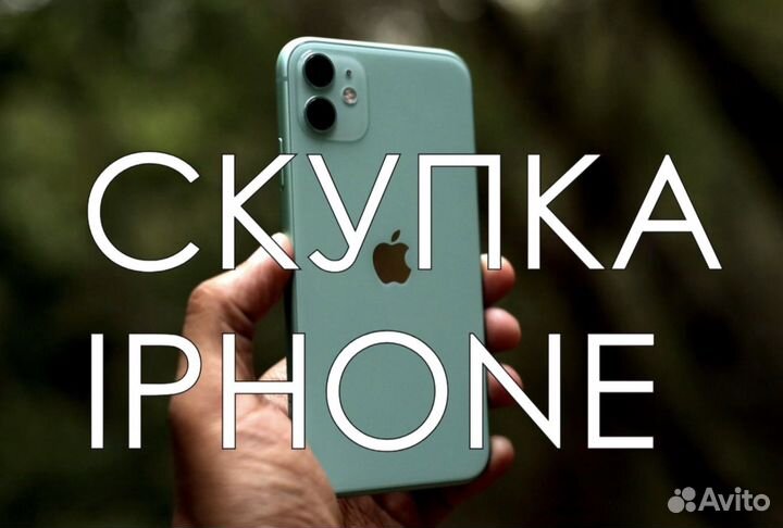 iPhone 11, 256 ГБ