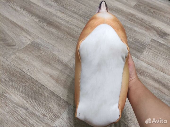 Bloptop собака корги