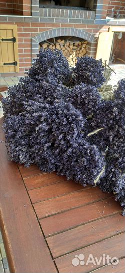 Лаванда сухоцвет