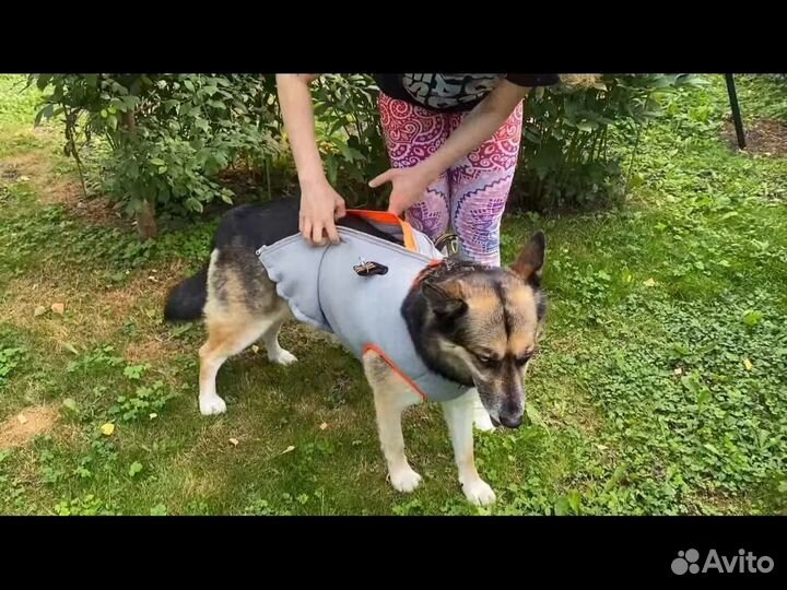 Охлаждающий жилет для собак True love