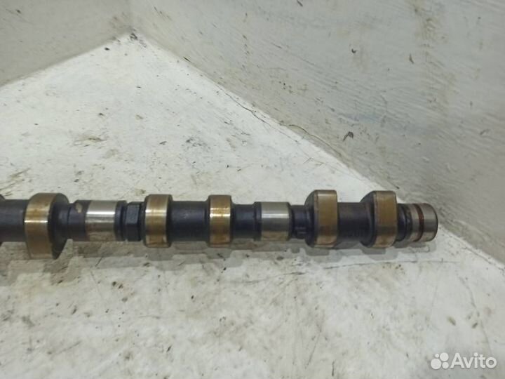 Распредвал выпускной