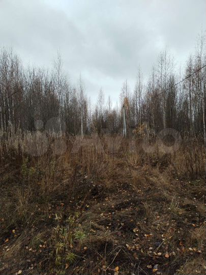 Участок 15 сот. (СНТ, ДНП)