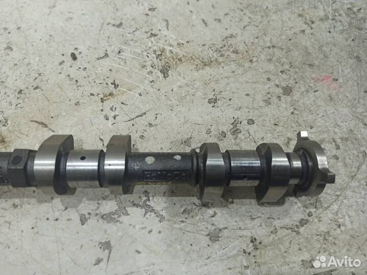 Распредвал впускной Форд
