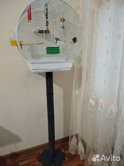 Волнистый попугай с клеткой