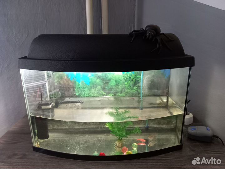 Аквариум
