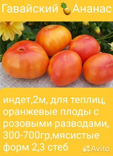 Семена помидор