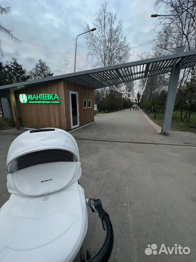 Коляска 2 в 1 Bruno Riko ecco silver