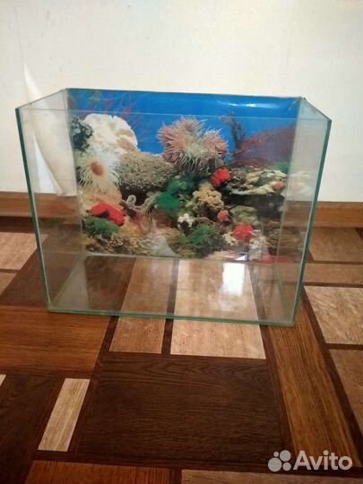 Аквриум