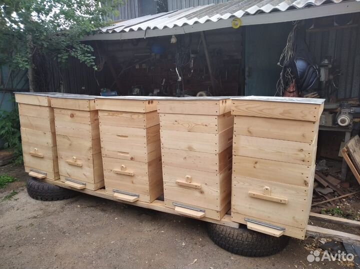 Пчелы и улья