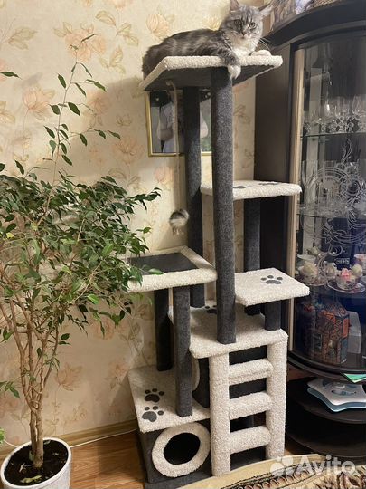 Домик лежанка для кошки с когтеточкой