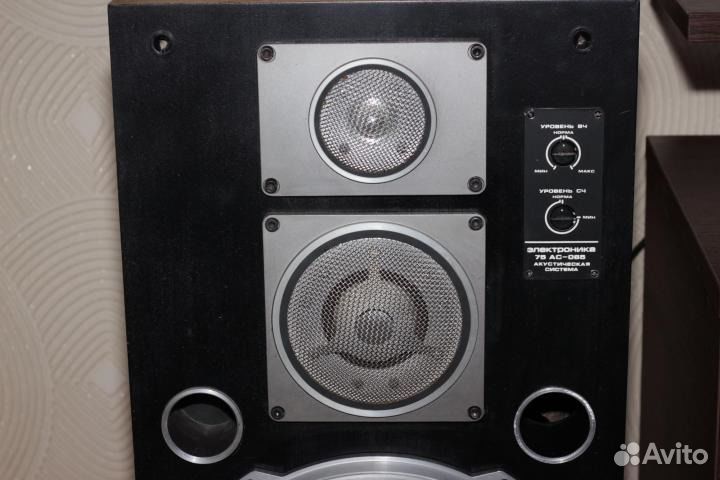 Динамики Электроника 75ас