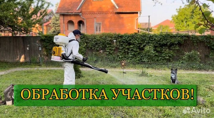 Уничтожение клопов, тараканов, блох, клещей