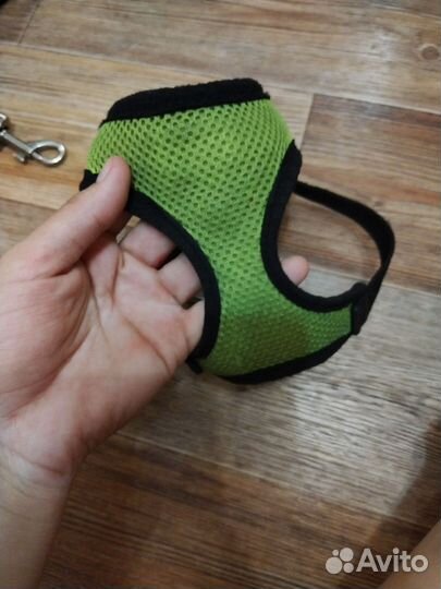 Вещи для собак