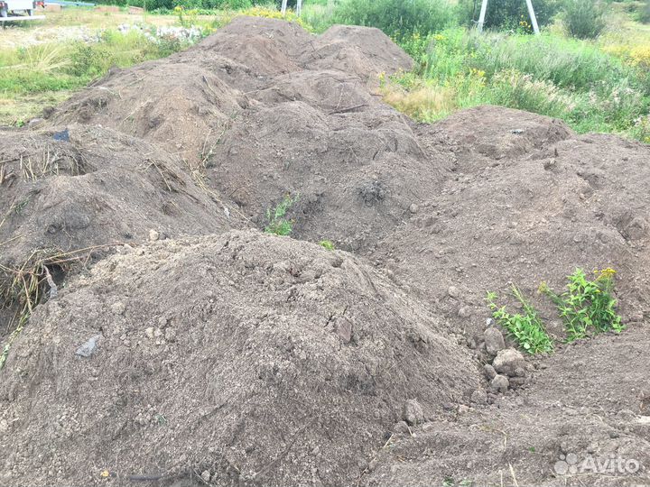 Приму грунт