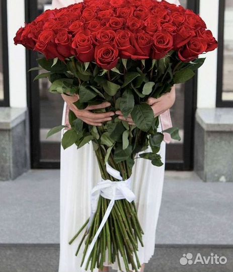 Высокие розы Гигантские розы Доставка цветов