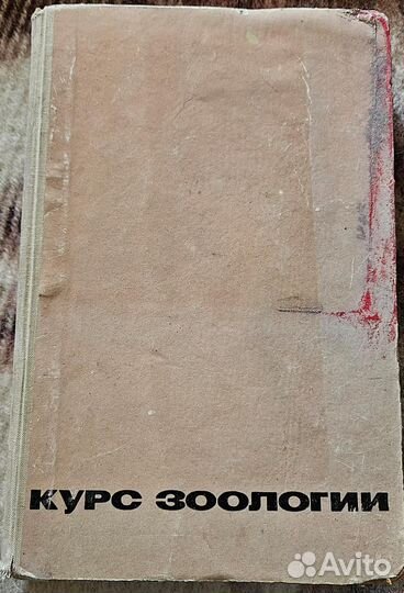 Курс зоологии, 1966 Г