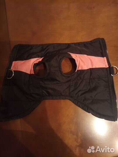 Одежда для собак